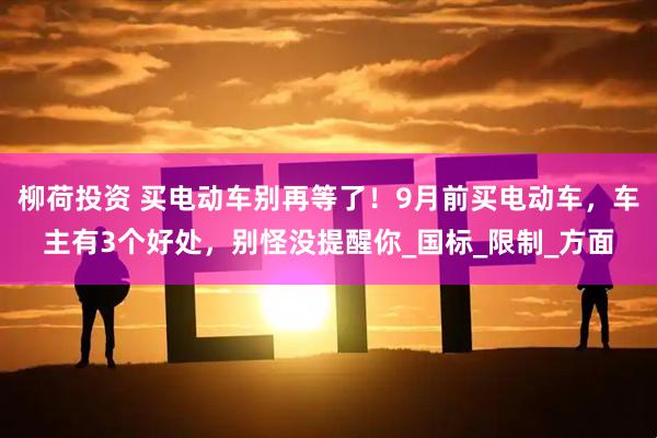 柳荷投资 买电动车别再等了！9月前买电动车，车主有3个好处，别怪没提醒你_国标_限制_方面